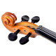 Скрипка Polcraft 4/4 C-VL-17-RD