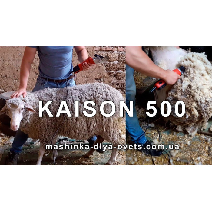 Машинка для стрижки овець Kaison 500