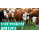Електропастух для корів та овець EPU-2, (Польща)