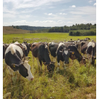 Електропастух COWBOY 4200 ECO MAX