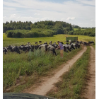 Електропастух COWBOY 4200 ECO MAX