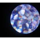 Мікроскоп OPTICON — Lab Starter
