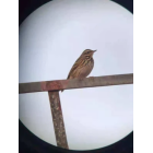 Польский бінокль Polcraft 10-30×60 Zoom