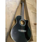 Гитара Polcraft полноразмерная Черная PLG-4020 BK