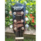 Гітара POLCRAFT premium W-710B ART