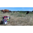 Електропастух COWBOY 1100 ECO LITE Електропастух COWBOY 1100 ECO LITE