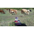 Електропастух COWBOY 1100 ECO LITE