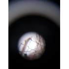 Телескоп Celestron PowerSeeker 70 EQ Телескоп Celestron PowerSeeker 70 EQ