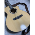 Гітара POLCRAFT premium W-710B ART