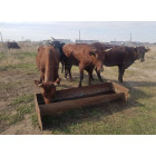 Електропастух COWBOY 1100 ECO LITE