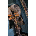 Електроскрипка 4/4 Polcraft J-VL51 