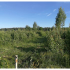 Електропастух COWBOY 1100 ECO LITE