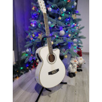 Електроакустична гітара Polcraft 4044-WH-E