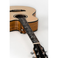 Гітара POLCRAFT premium W-710B ART