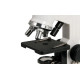 Мікроскоп CELESTRON 40x-600x